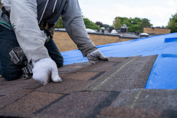 Roof Gutter Cleaning in Pigeon Forge, TN